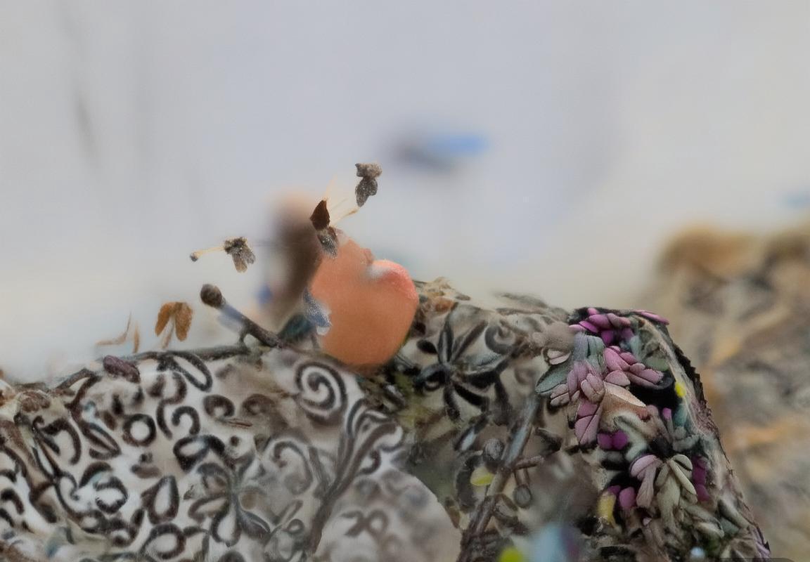 刚果VS乌干达：019赛事前瞻与两队对决分析